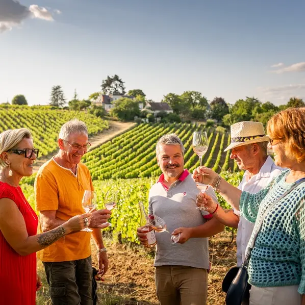 Domaine de la Noblaie - Ligré