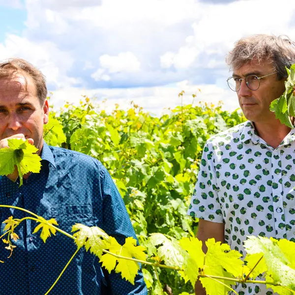 Domaine des Vallettes
