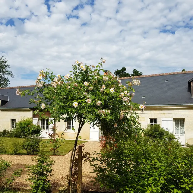 EPEIGNE_2023_La Ferme de la Raffinerie_Mme Lecocq