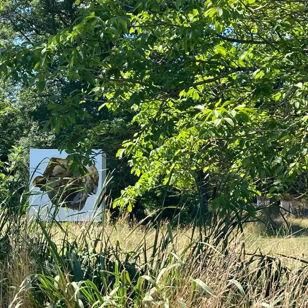 Musée du Véron - Savigny-en-Véron