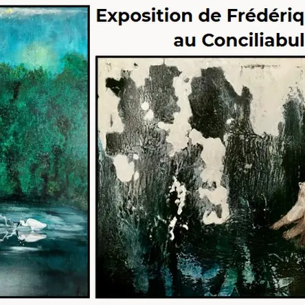Expo de Frédérique Bodiou Montlouis