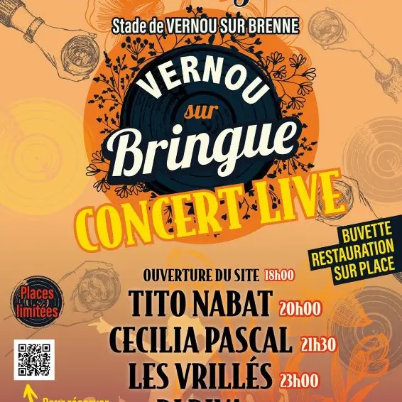 Festival de musique Vernou sur Bringue