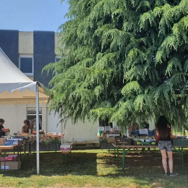 Fête médiathèque