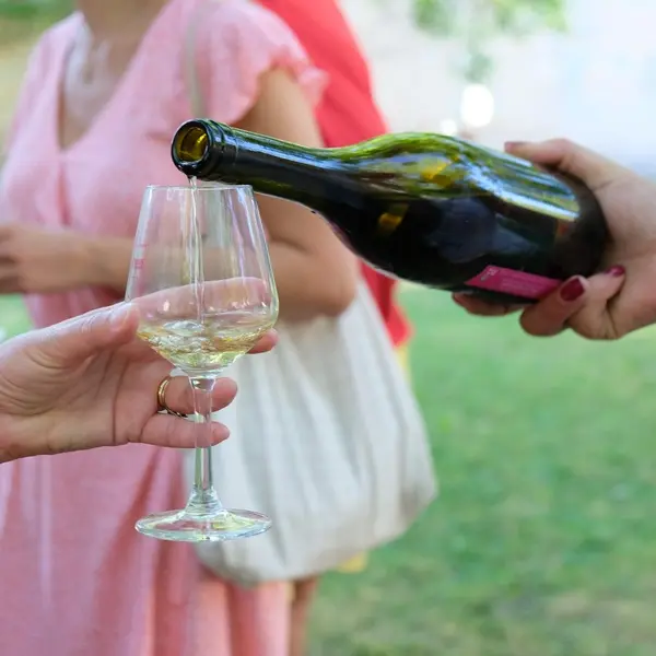 degustation-vin-blanc-loches-valdeloire