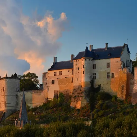 Forteresse_royale_chinon_Léonard_de_Serres (156)