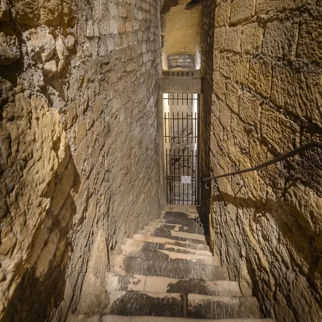 Forteresse_royale_chinon_Léonard_de_Serres (112)