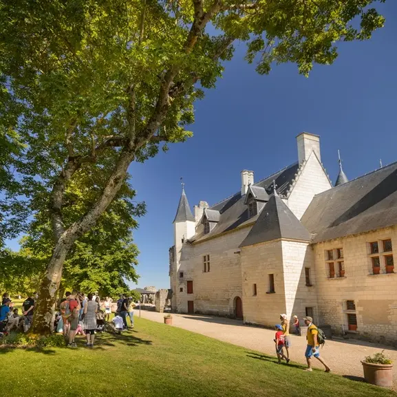 Forteresse_royale_chinon_Léonard_de_Serres (32)