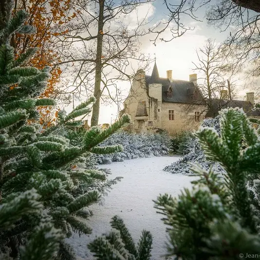 Forteresse royale de Chinon