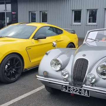 Ford mustang et jaguar