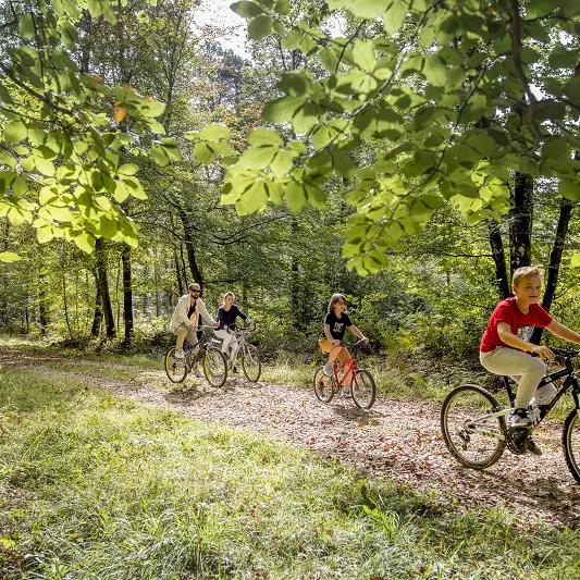 Forêt domaniale de Loches-cyclo-loches-valdeloire