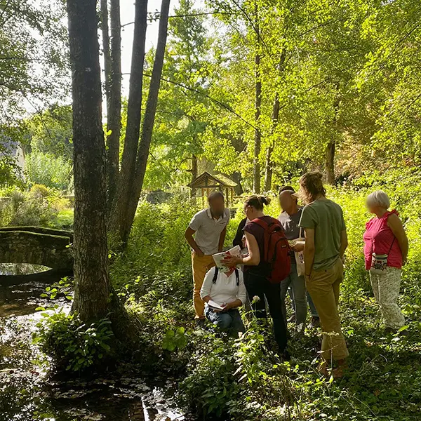 Formation découverte et initiation plantes sauvages-1