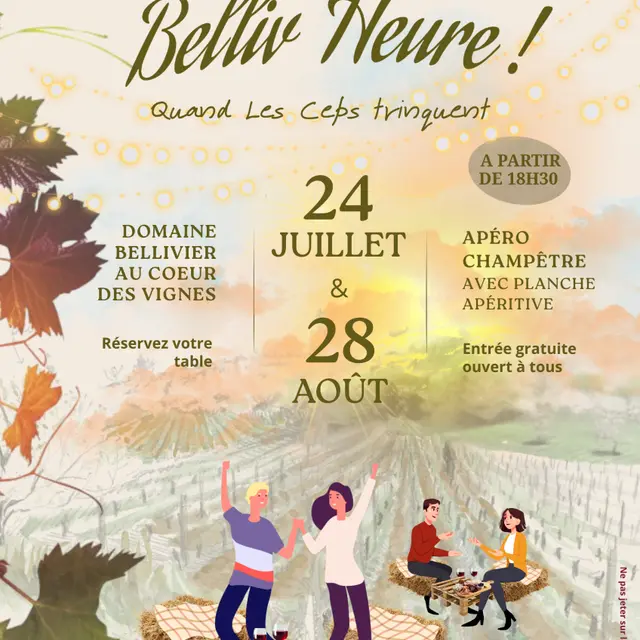 Affiche Domaine Bellivier