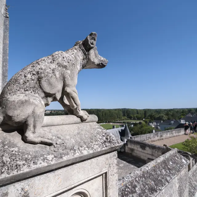GV_Chateau-LOCHES-302761