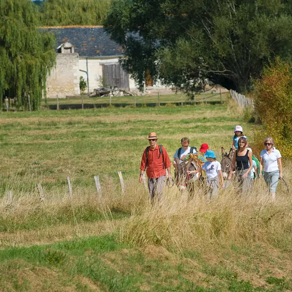 Generique-decouverte-terroir-DDarrault