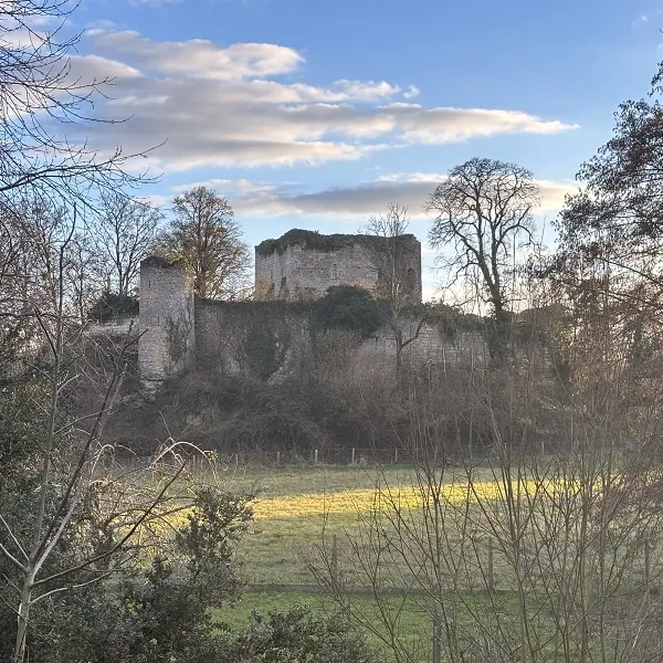 Château fort de Semblançay