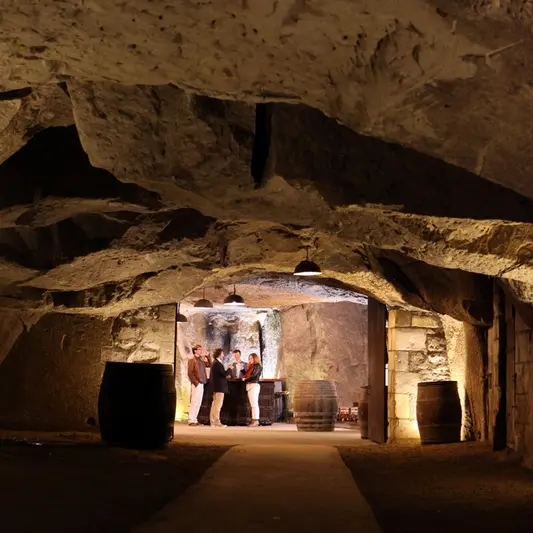 Cave Plouzeau - Chinon