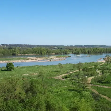 Ile de Bondésir, à Montlouis-sur-Loire.