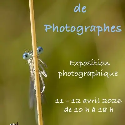 Invitation exposition Regards 2026