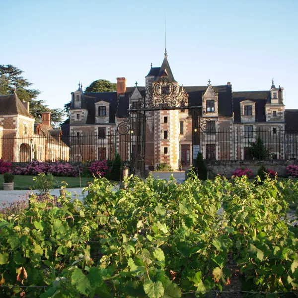 Château de Jallanges - Vernou-sur-Brenne