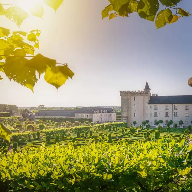 Jardins_de_Villandry_Credit_ADT_Touraine_JC_Coutand_2030-15