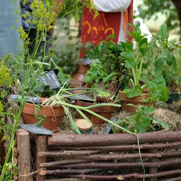plants-loches-valdeloire