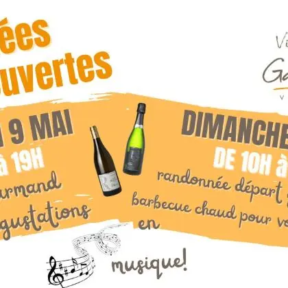 Journées caves ouvertes Vincent Gaudreau Chançay