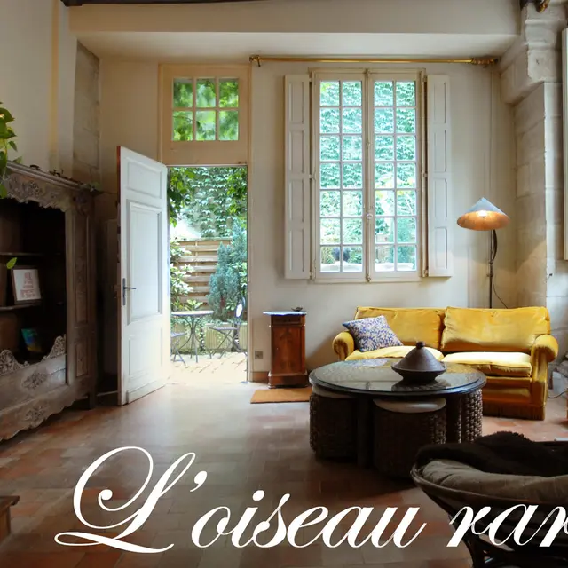 L'oiseau_rare_credits salon