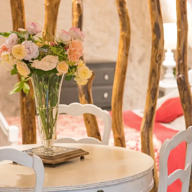 LE VIGNERON-GITES DE LA ROCHERE