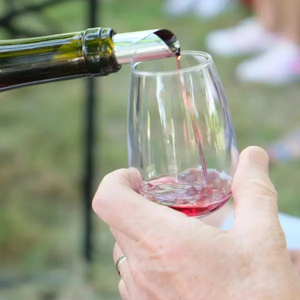 degustation-vin-rouge-loches-valdeloire