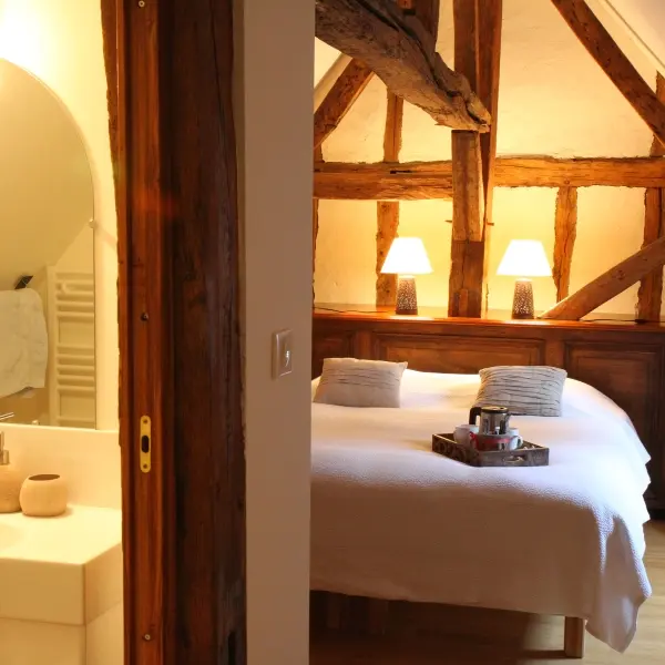 La Héraudière - Chambre d'hôtes à Tours