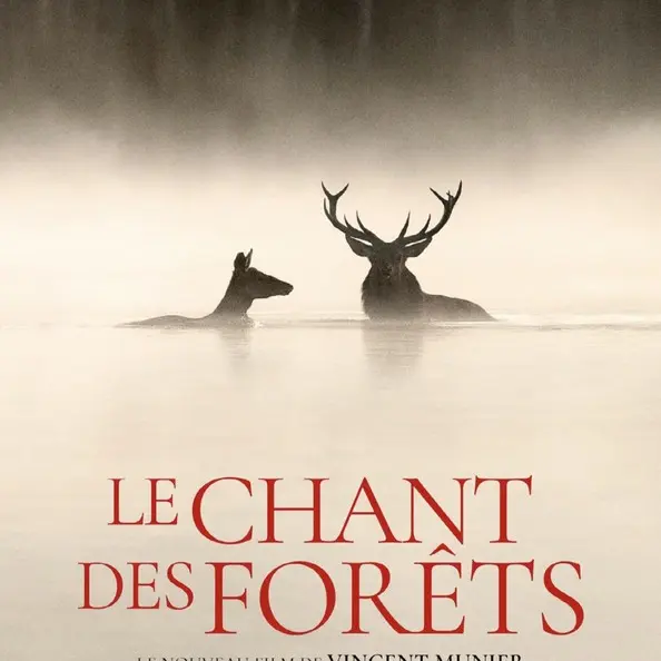 Le Chant des forêts Film de Vincent Munier