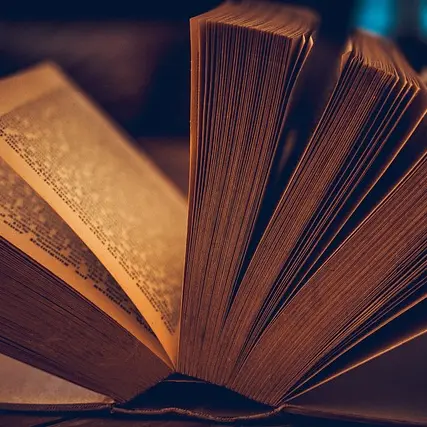 Livre_pixabay
