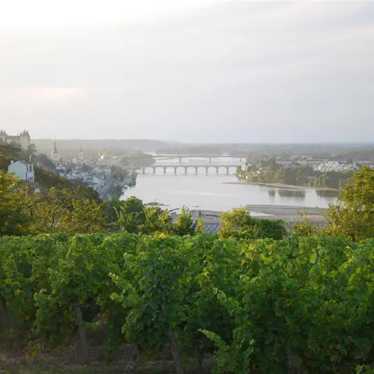 Loire Secrets