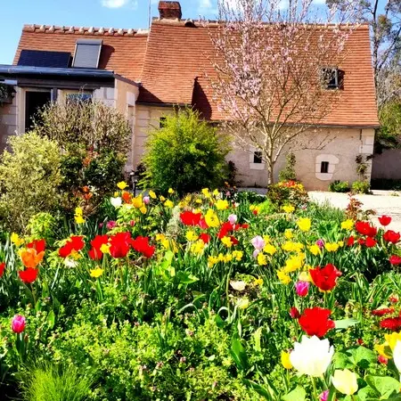 Maison au printemps