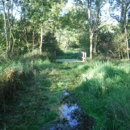 Marais des rouches chantier nature2