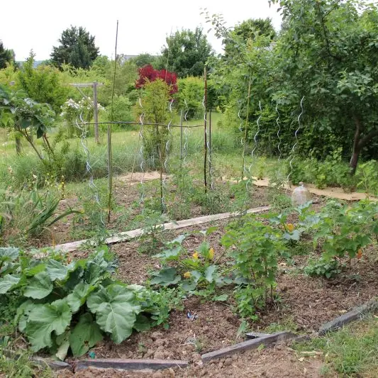 Mon jardin changement climatique