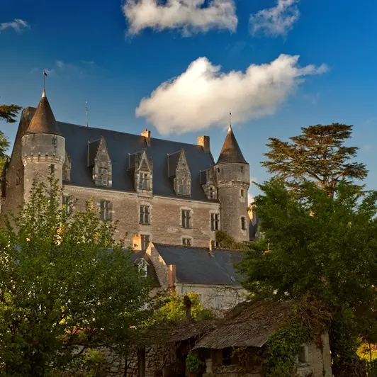 chateaumontrésor-loches-valdeloire