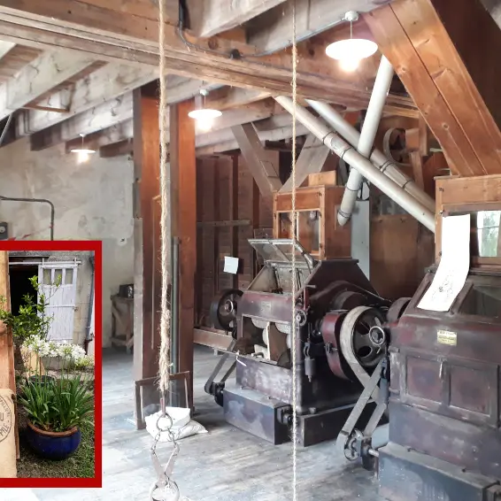 Au four et au moulin