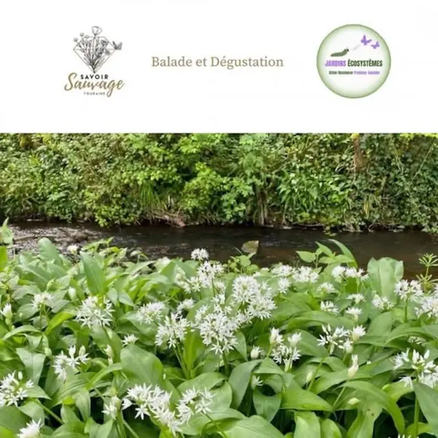 Moulin-Malicorne-ai-des-ours