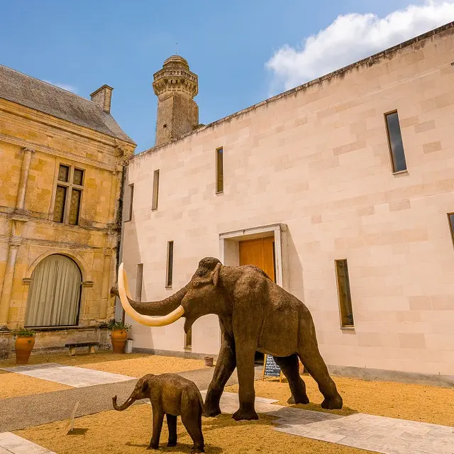 Musee_Grand_Pressigny_Credit_ADT_Touraine_JC_Coutand_2030-109 (11)