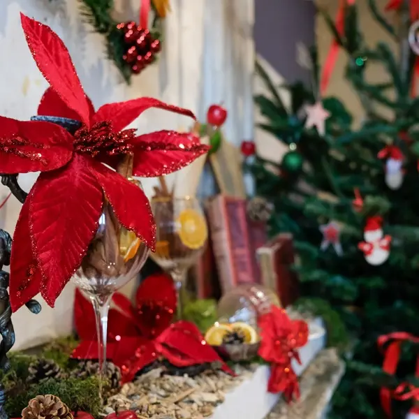 noel-decorations-loches-valdeloire