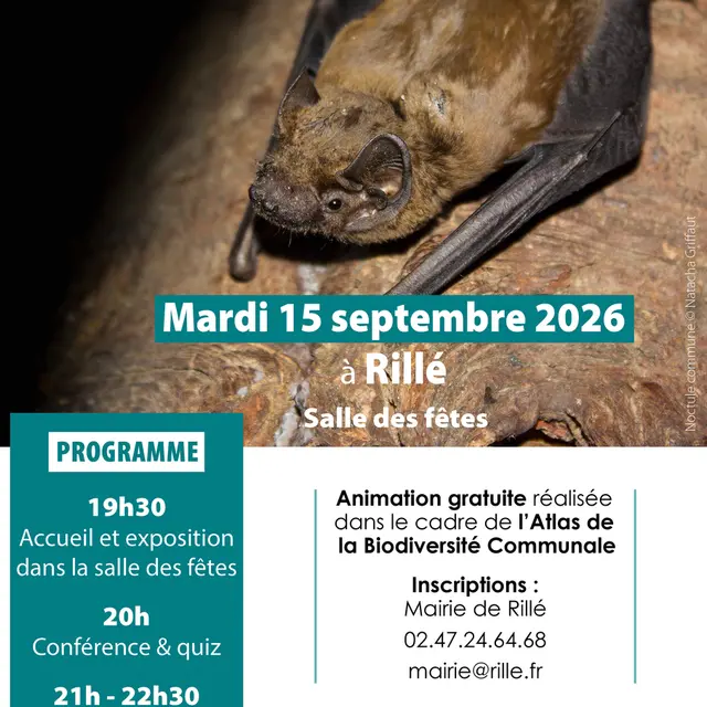 Nuit de la chauve-souris