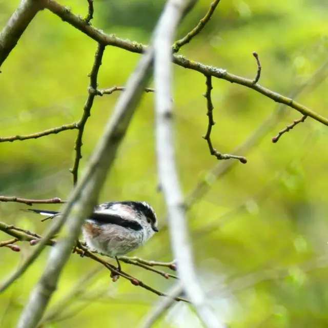 P1250469-e1761125756244