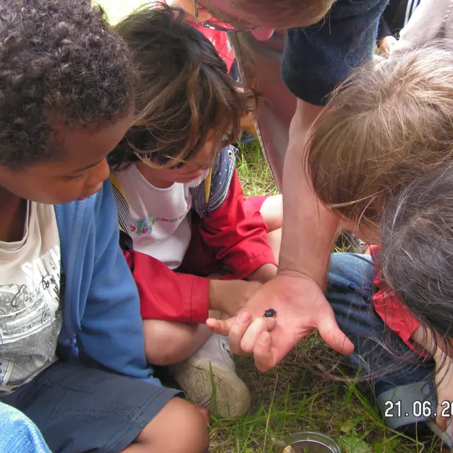 Atelier Petites Bêtes 1