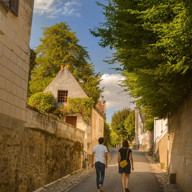 Porte poitevine_Léonard de Serres (2)
