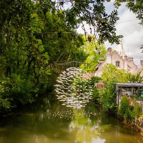 Prairies du Roy_peche_beaulieu_loches-valdeloire