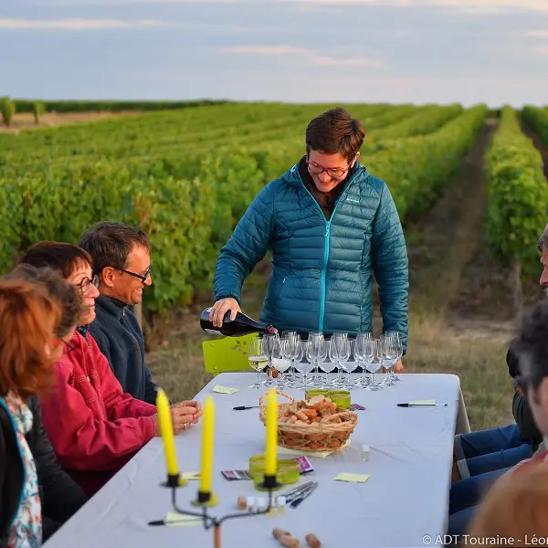 Dans les vignes au crépuscule - Rendez-vous dans les vignes