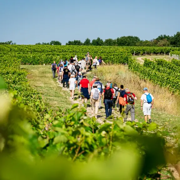Randonnées Terroir de Vouvray-Crédit-Julien-Raimbault