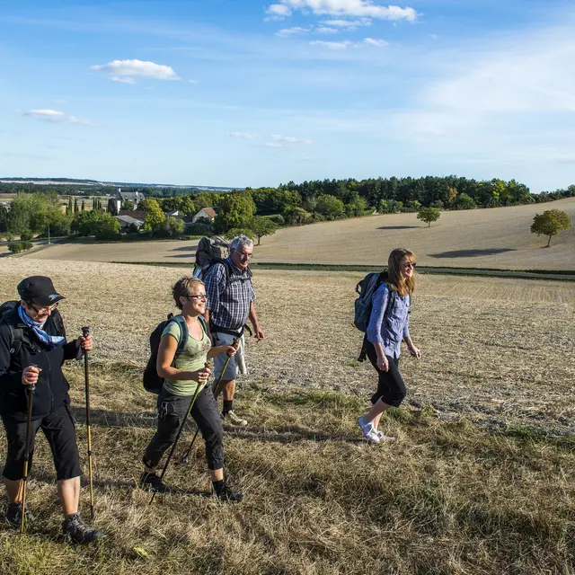 Rando Vallée de la Vienne