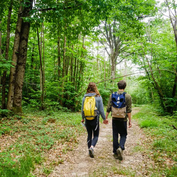 Rando en forêt